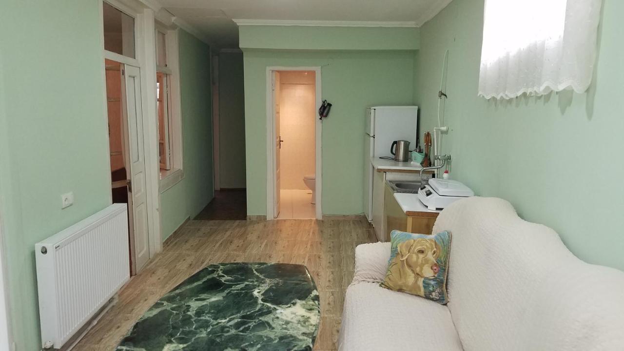Guest House Green Rose Borjomi Εξωτερικό φωτογραφία