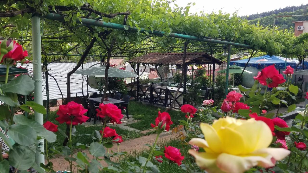 Guest House Green Rose Borjomi Εξωτερικό φωτογραφία