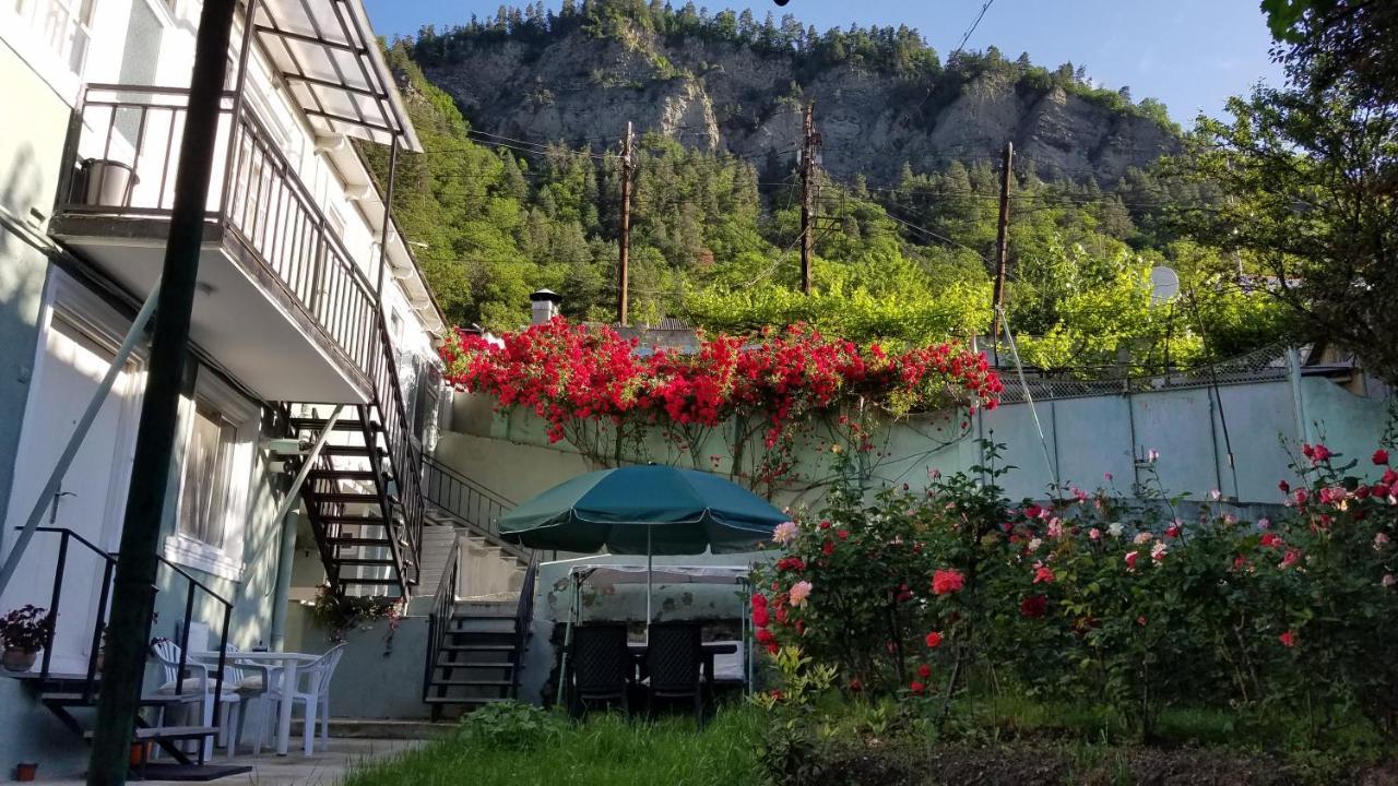 Guest House Green Rose Borjomi Εξωτερικό φωτογραφία