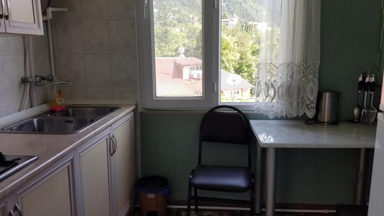 Guest House Green Rose Borjomi Εξωτερικό φωτογραφία