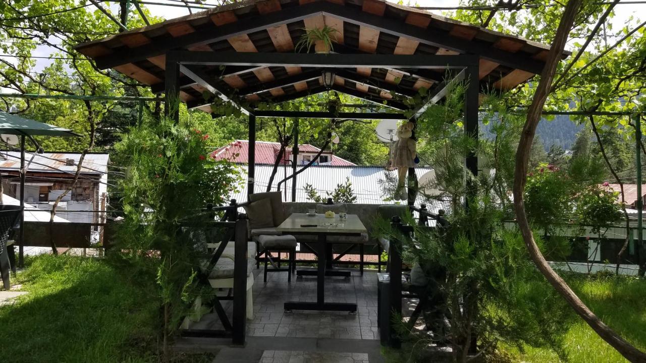 Guest House Green Rose Borjomi Εξωτερικό φωτογραφία