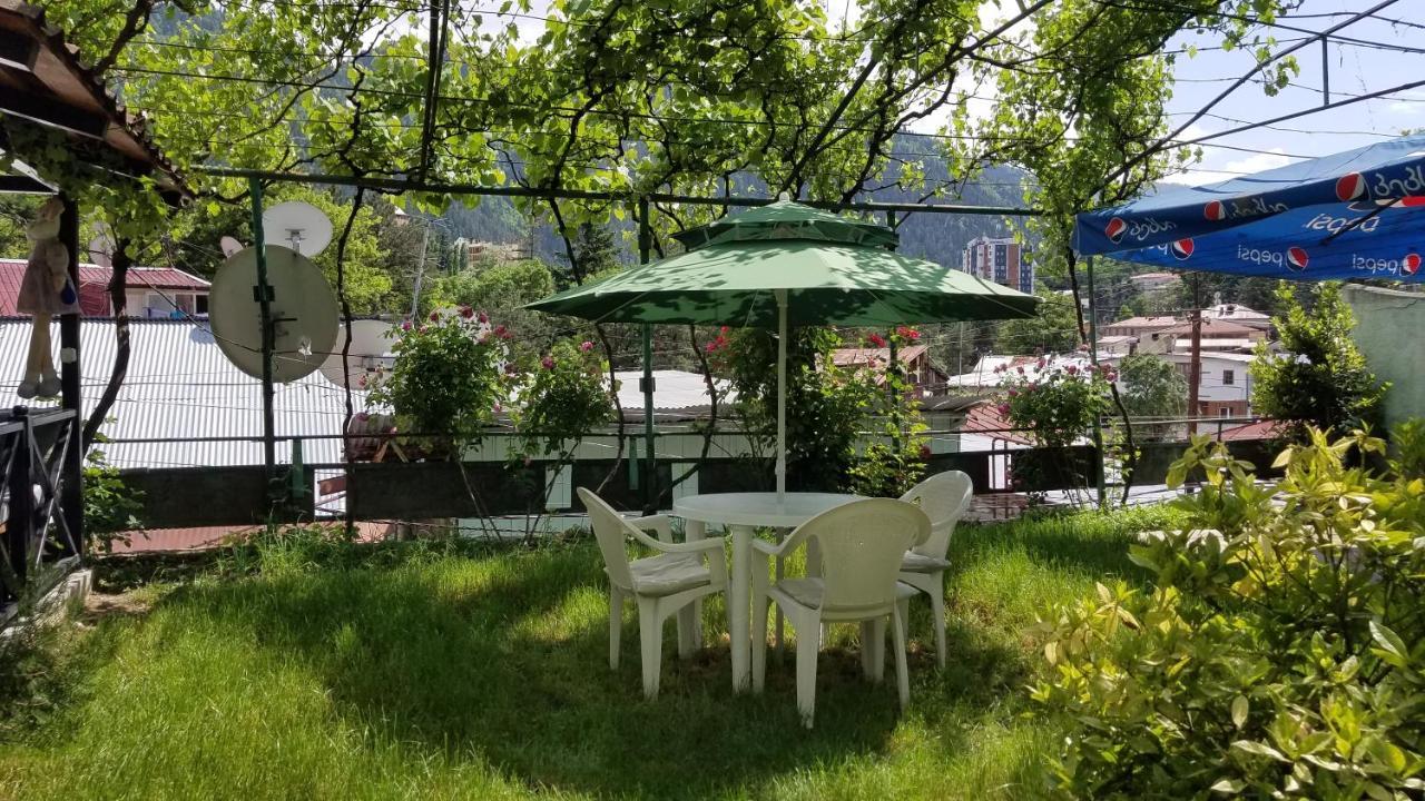 Guest House Green Rose Borjomi Εξωτερικό φωτογραφία