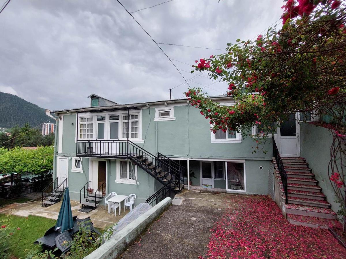 Guest House Green Rose Borjomi Εξωτερικό φωτογραφία